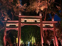 -杭州黄龙洞