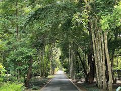 -中国科学院西双版纳热带植物园