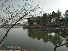-美兰湖景区
