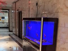 -葛记红焖羊肉(和平路形象店)