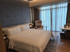 -深圳国际会展中心希尔顿酒店(前海华发冰雪世界店)
