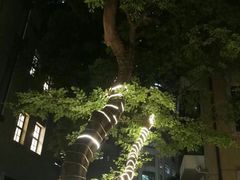 -徐家汇源景区-衡山坊