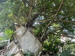 -草庵摩尼教遗址公园