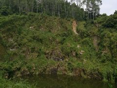 -火炉山森林公园