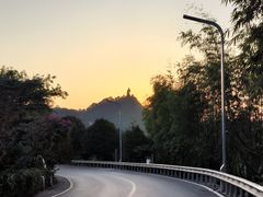 -南山植物园
