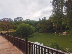 -厦门悦华酒店