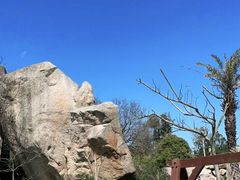 -天然居·漳港海鲜·海景餐厅(南澳总店)