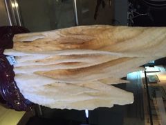 iphone_upload_pic-西安世博园