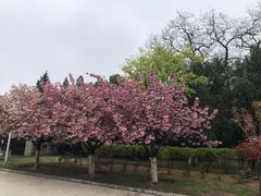 -旅顺博物馆