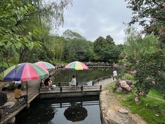 -白马涧龙池景区