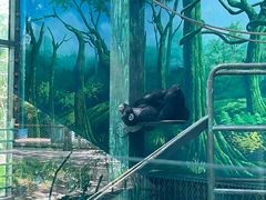 -宁波野生动物园