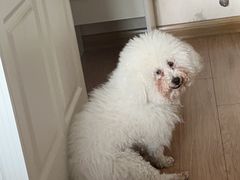 -梅红羊肉馆(赭山西路店)