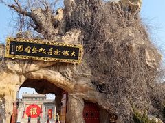 -大槐树寻根祭祖园