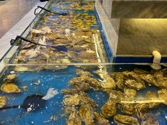 -川骄海鲜自助(河东店)