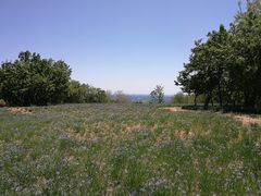 -鬼笑石后山停车场