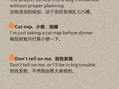 -JT PREP国际学科课程·IB·AP·Alevel(陆家嘴校区)