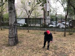 -北极寺公园