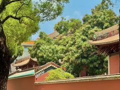 -榆扉·高空City View府邸(广州天河珠江新城正佳广场旗舰店)