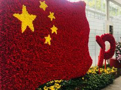 -上海鲜花港