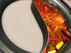 -生活如沸·顺德水牛奶火锅(大学路店)