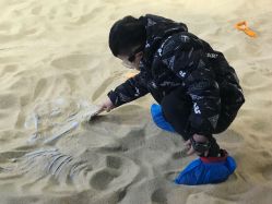 -恐龙探索乐园(磁器口店)