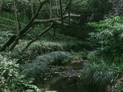 -杭州半山国家森林公园