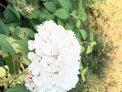 -黑龙江省森林植物园