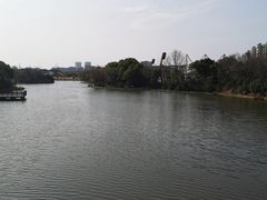 -新江湾城公园