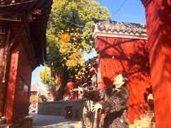 -长春观
