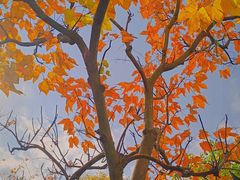 -上海佘山国家森林公园西佘山园