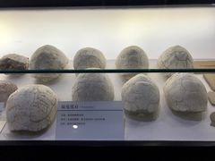 -中国第四纪冰川遗迹陈列馆