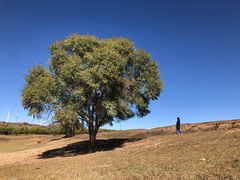 -塞罕坝国家级自然保护区