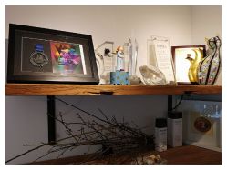 -净漪造型 PURE RIPPLE