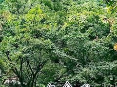 -白公馆