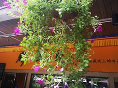 -缘生态云南菜·野生菌庭院餐厅(华侨城店)