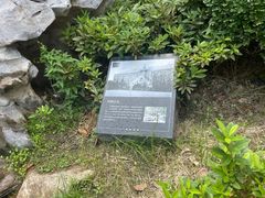 -上海交通大学医学院附属瑞金医院(总院)