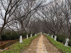 -凤凰沟景区