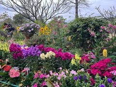-东莞植物园