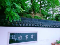 -亭林公园