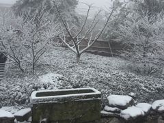-江南天池高山汤泉城