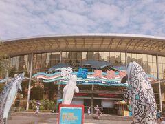 -海合安成都极地海洋公园