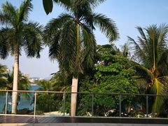 -JW万豪厨房餐厅·滨海草坪烧烤·海鲜·海景(三亚绿发山海天JW万豪酒店)