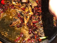 -老板恋上鱼(印象城店)