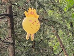 -青藏高原野生动物园