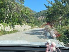 -白草畔自然风景区