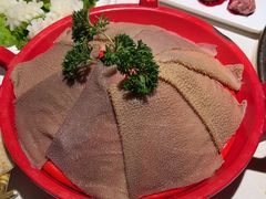 -二荆条·城市森林火锅旗舰店