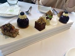 -蝶舍·MAISON PAPILLON