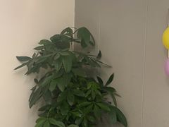 -食悦江南·淮扬菜·烤鸭(亚运村·惠新店)