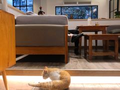 -叩听咖啡 kotiin cafe(福新路店)