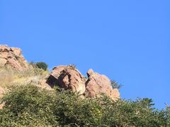 -红山国家森林公园